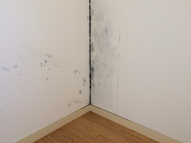 部屋の壁紙 クロス の汚れを落とすのに効果的な方法とは 住宅管理ヨロズ屋